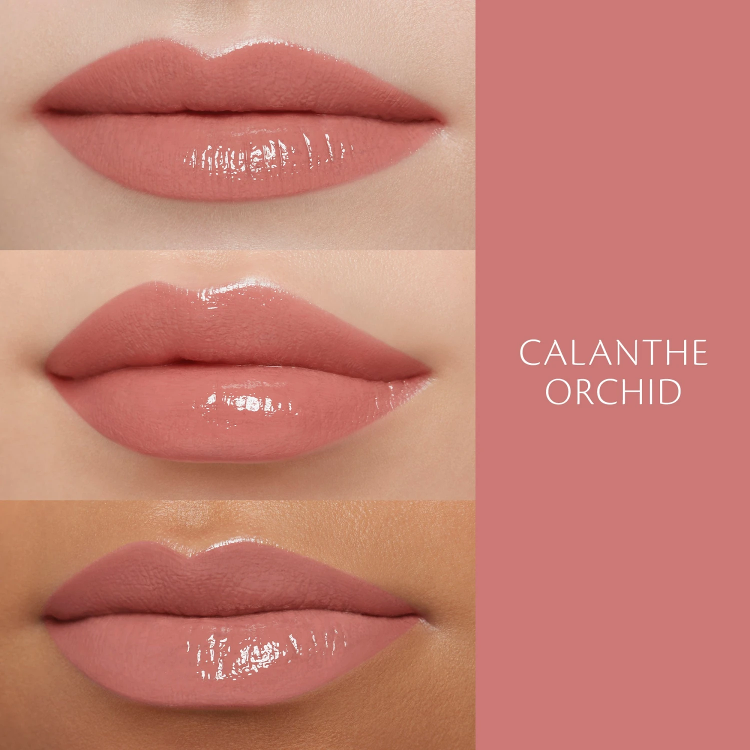 Cream Rouge Shine 8 Cream Rouge Shine - Image 6