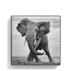 Chantecaille Luminescent Eye Shade -Charlotte Tilbury Shop WEBP00722001 Q Elephant alt1