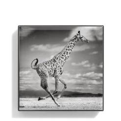 Chantecaille Luminescent Eye Shade -Charlotte Tilbury Shop WEBP00722001 Q Giraffe alt1