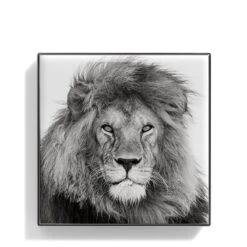 Chantecaille Luminescent Eye Shade -Charlotte Tilbury Shop WEBP00722001 Q Lion alt1