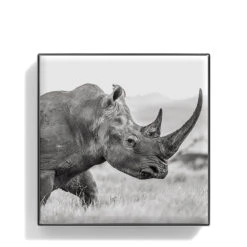 Chantecaille Luminescent Eye Shade -Charlotte Tilbury Shop WEBP00722001 Q Rhino alt1