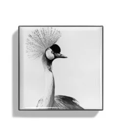 Chantecaille Luminescent Eye Shade -Charlotte Tilbury Shop webp00722001 q crane alt1